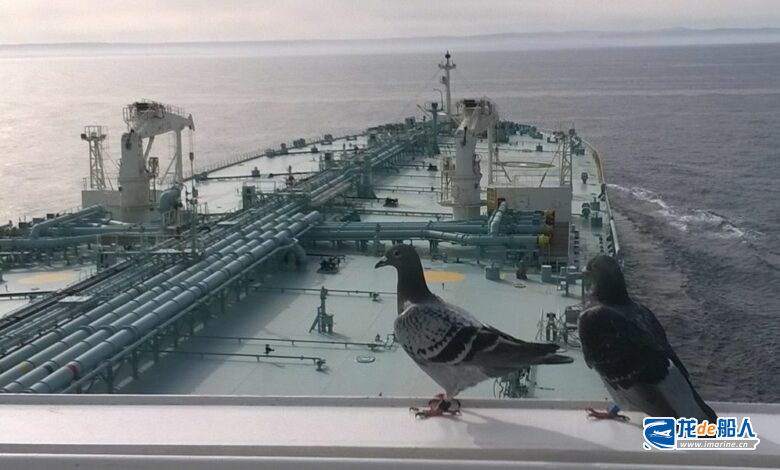 新时代造船获2艘LR2型成品油轮订单